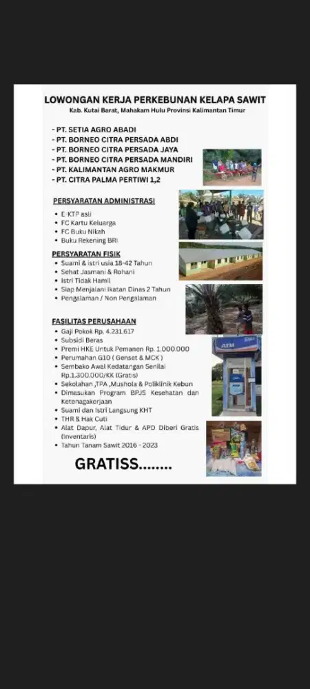 Loker perkebunan CV suwarno agency resmi gratis