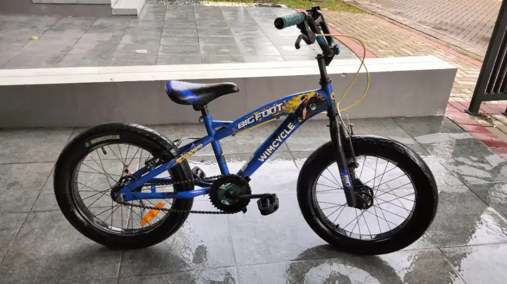 SEPEDA ANAK WIMCYCLE