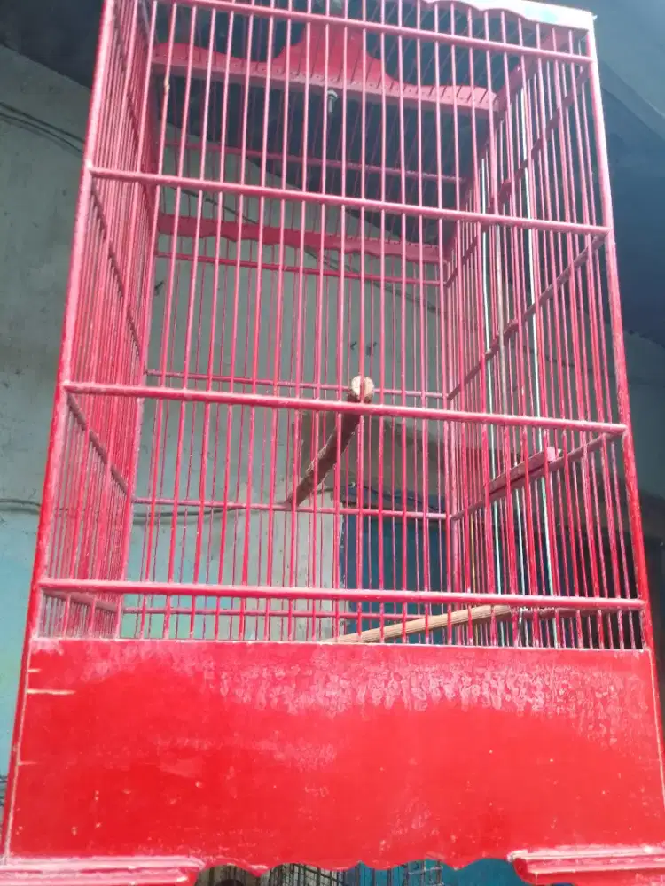 Dari pada gak di pakai jual murah aja