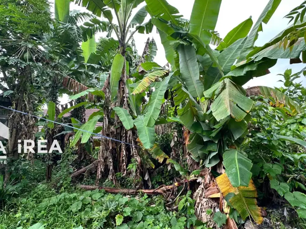 RUMAH + TANAH DIJUAL DI KARANGANYAR DEKAT PASAR WISATA TAWANGMANGU