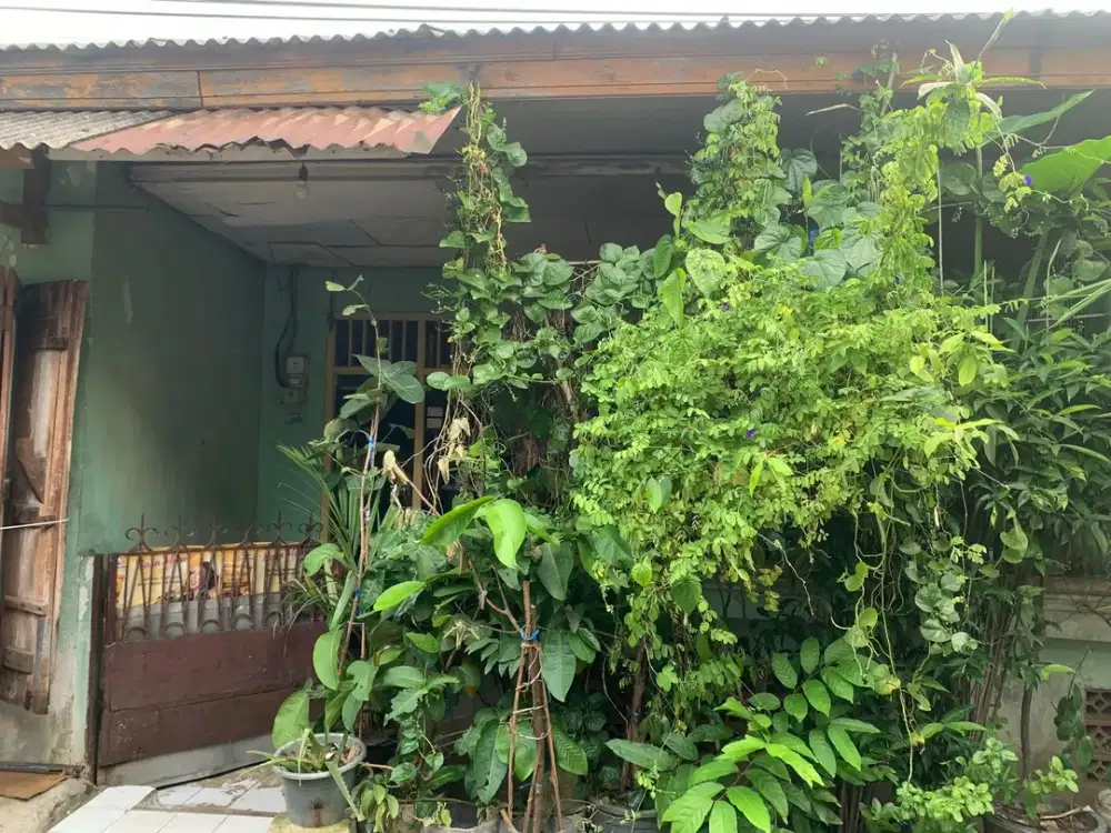 Rumah Luas SHM 10 Menit ke Gerbang Tol Margonda Dibantu KPR J-44374