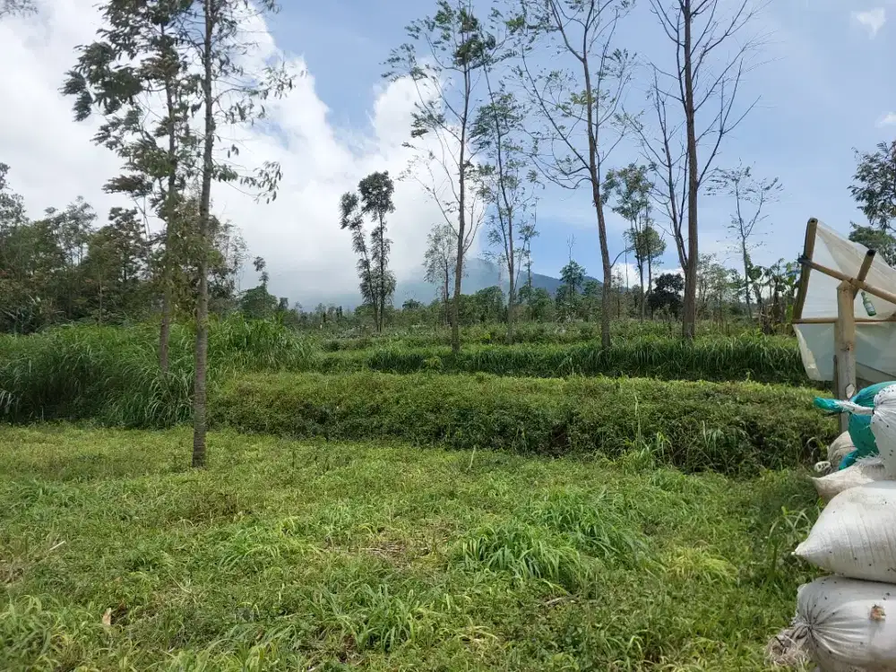 Tanah strategis untuk niaga di getasan