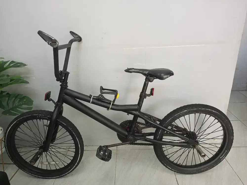 BMX EXOTIC ban 20inchi