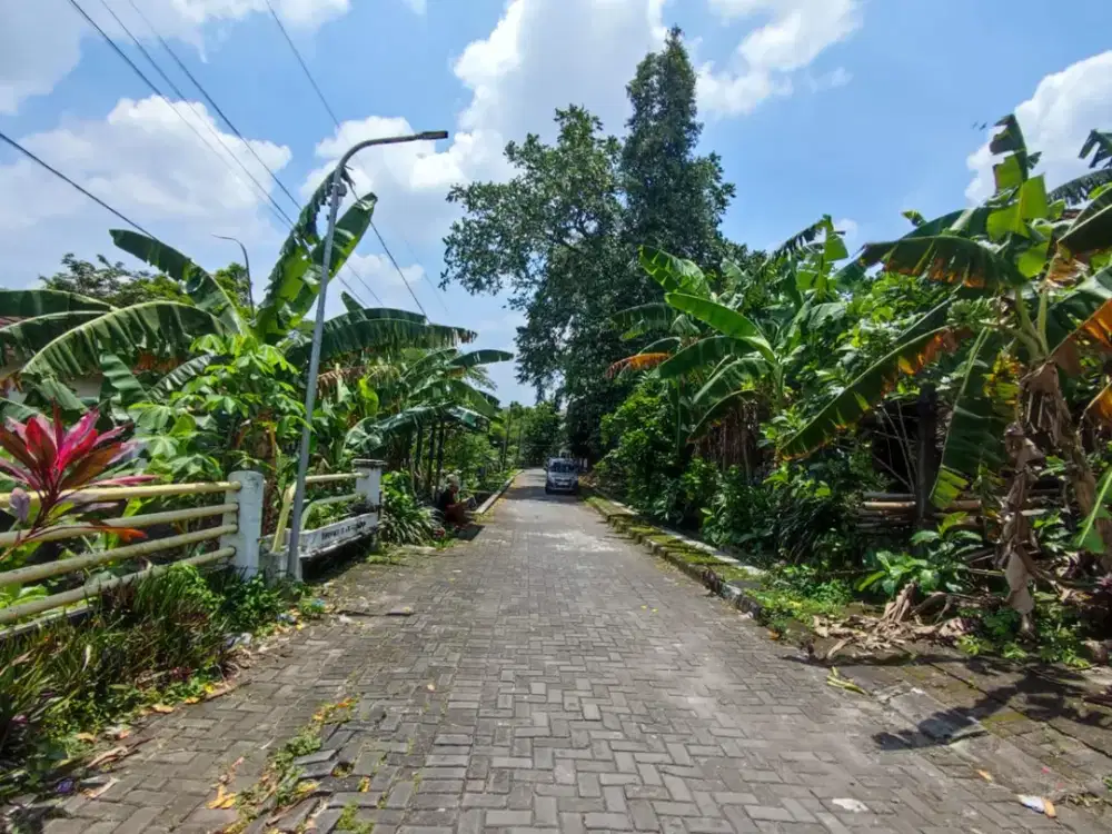 Tanah 291 m² Dekat Amplaz & Seturan – Rp 1,047 M SHM Pekarangan