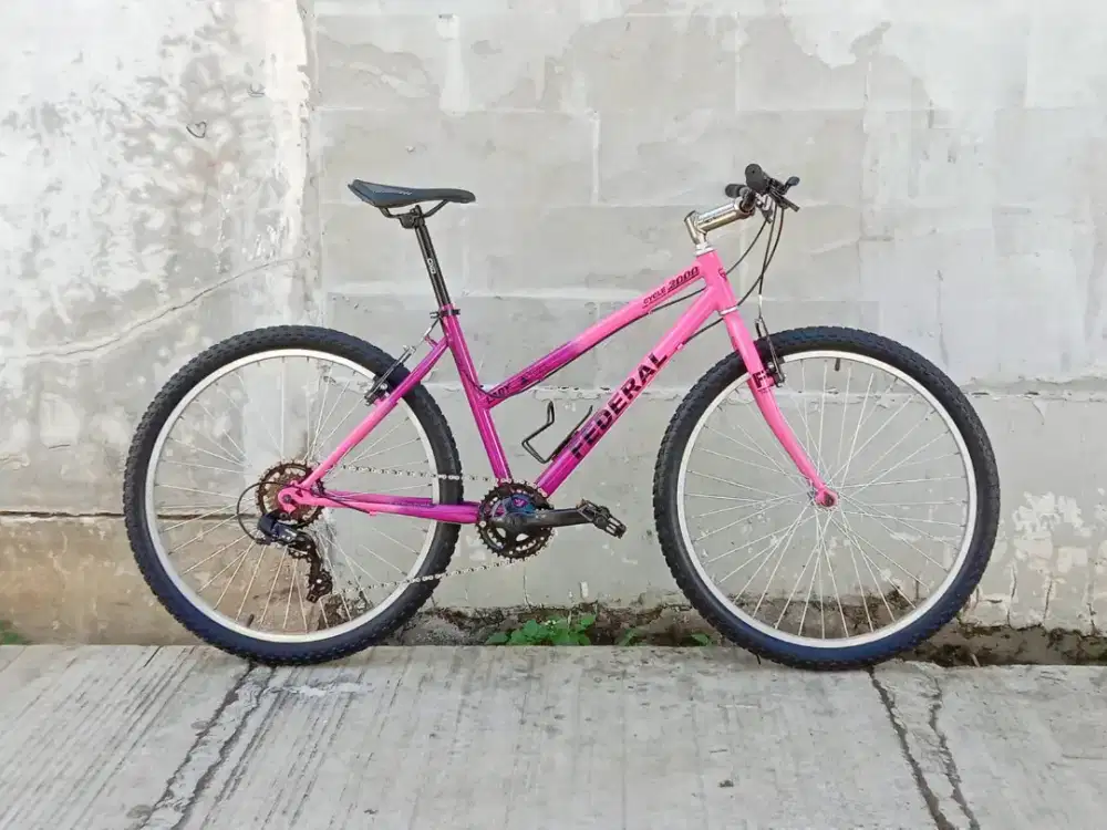 Commuter bike lady bike two tone