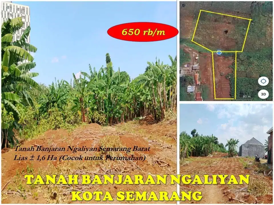 Tanah Perumahan Ngaliyan Smg atau Tnh Perumahan di Bergas Ungaran Tmr