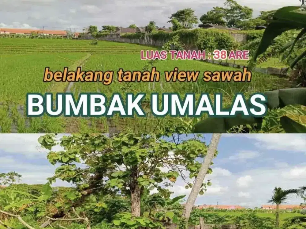 Tanah PREMIUM TERMURAH Jl Bumbak Umalas Kerobokan