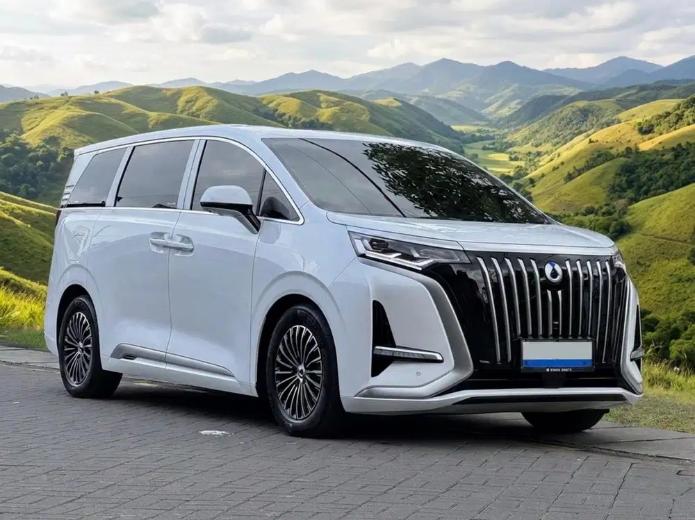 Denza D9 RV At 2025 km +/- 5.000