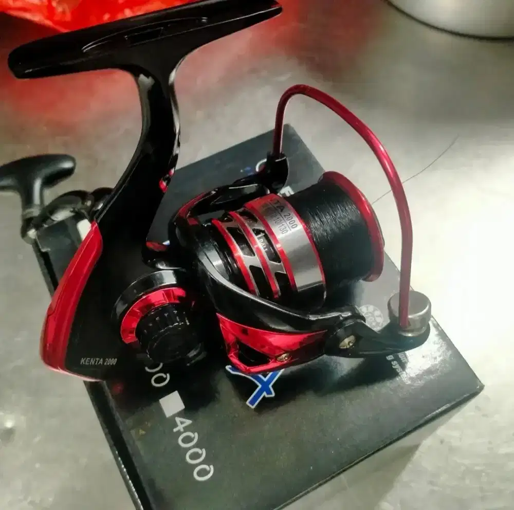 reel fugu kenta 2000