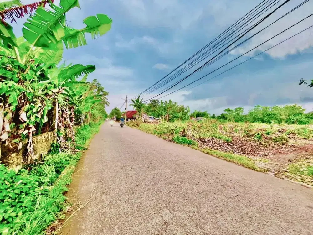 Tanah Cisauk Murah Mulai 100Jt-an, Nempel BSD & Stasiun Baru