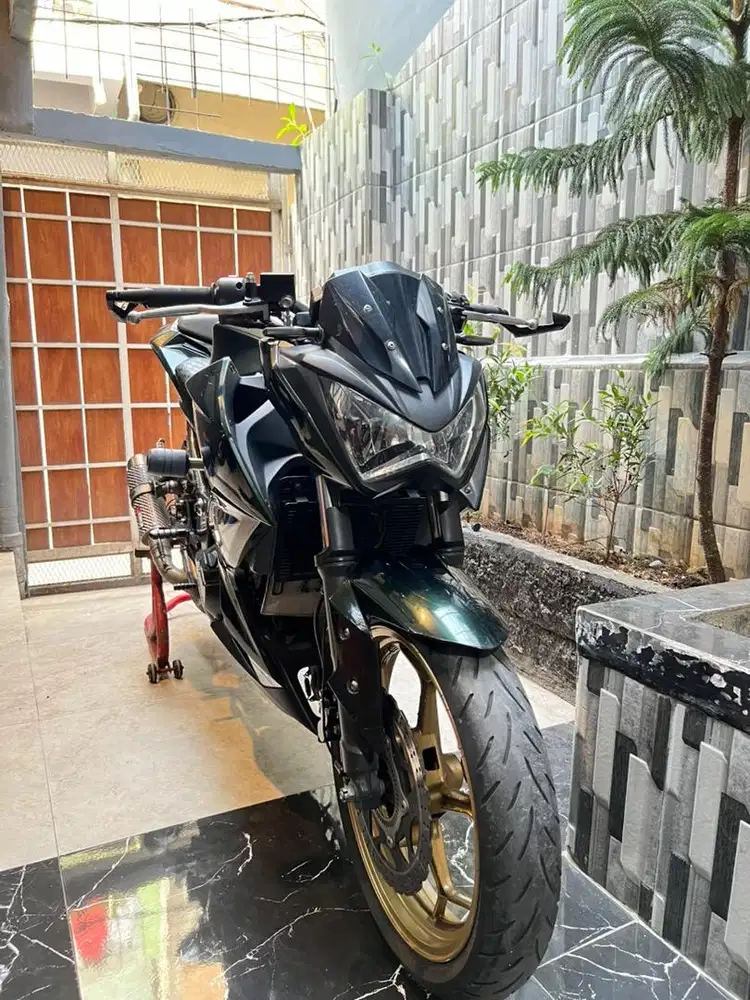 Kawasaki ninja z250 2017