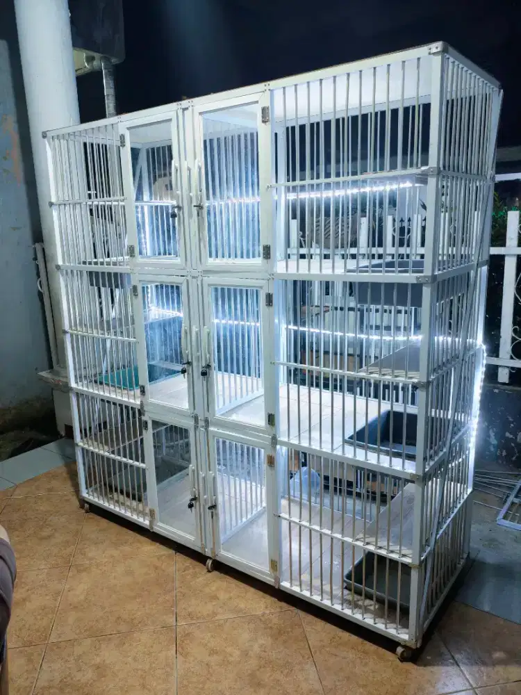 Kandang Kucing Aluminium Preloved BSH Persia Scottish British Munchkin