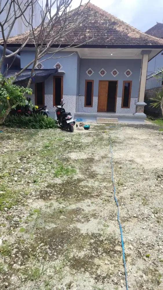 Di kontrakan rumah jalan Pura Demak, DPS, Bali
