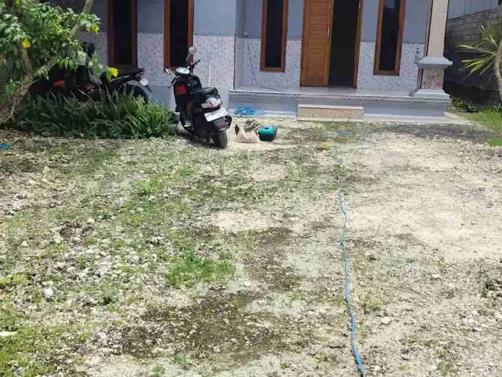 Di kontrakan rumah jalan Pura Demak, Denpasar , Bali