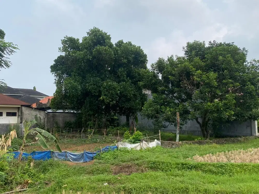 Tanah dijual area parak karakah