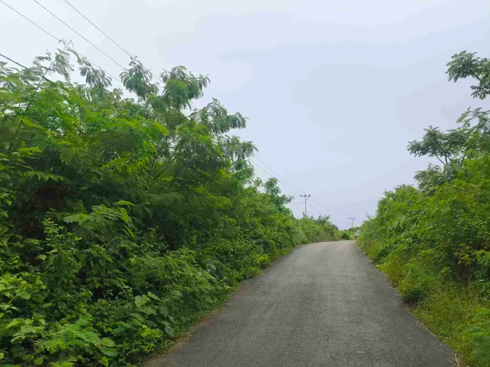 Dijual murah tanah pertanian area Sumba Barat Daya Nusa tenggara Timur