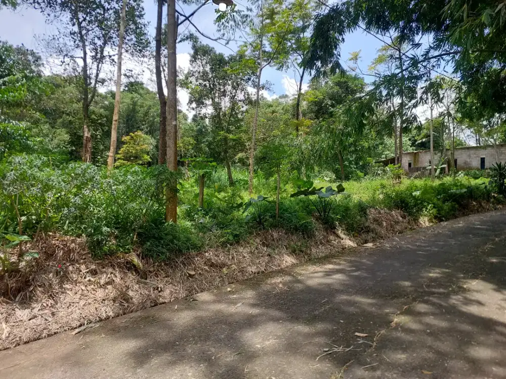 Tanah pekarangan/kuning di getasan