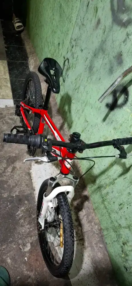 Sepeda mtb wimcycle ring 20 inch