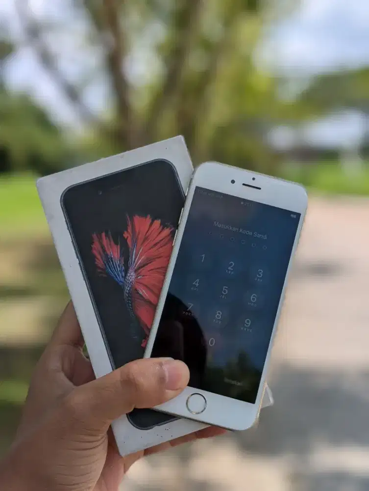 iphone 6s 64gb all operator