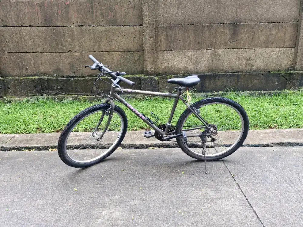 Sepeda Komuter Gunung Roadbike