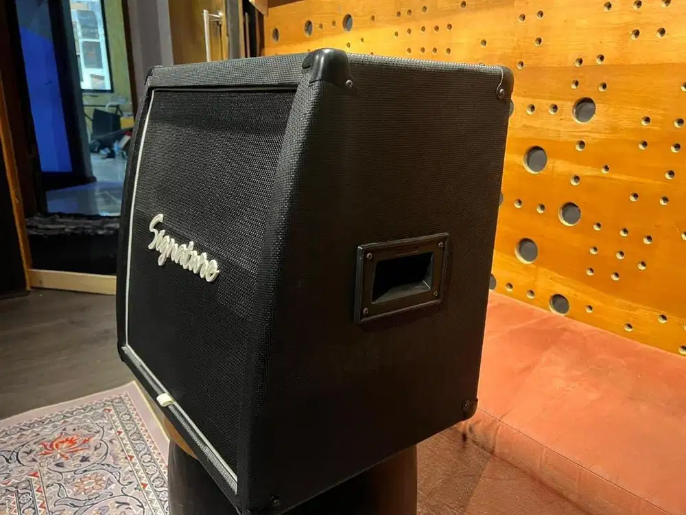 signature gfk 50 keyboard amplifier