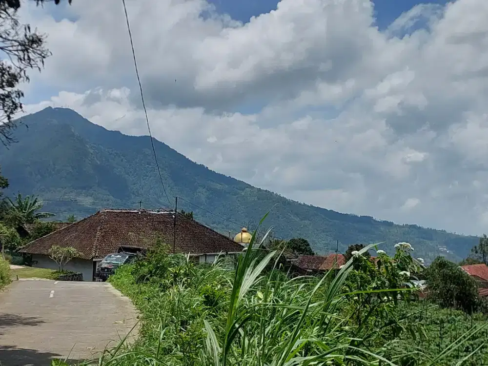 Jual Tanah kopeng getasan