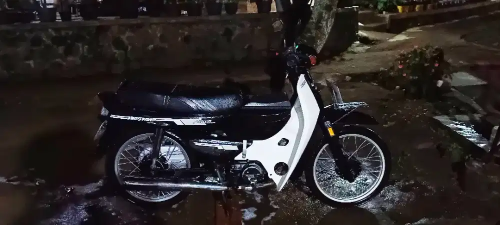 Astrea impressa tahun 1997