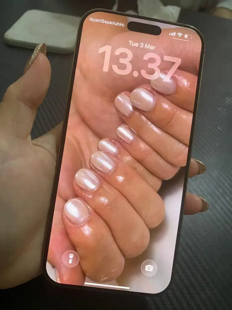 iphone 16 promax 256