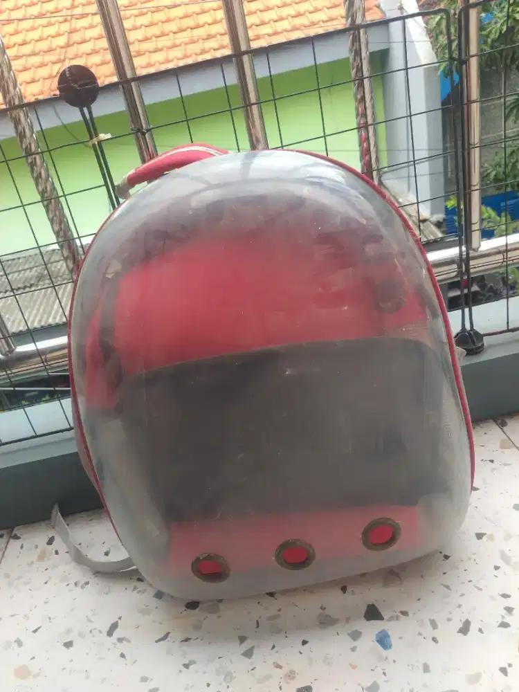 Tas kucing (pet cargo)