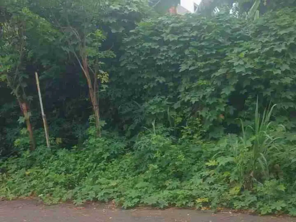 kavling tanah kosong one gate