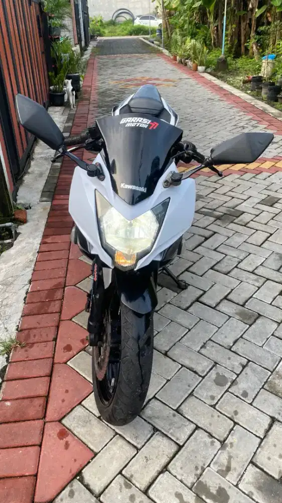 NINJA MONO 250 SL