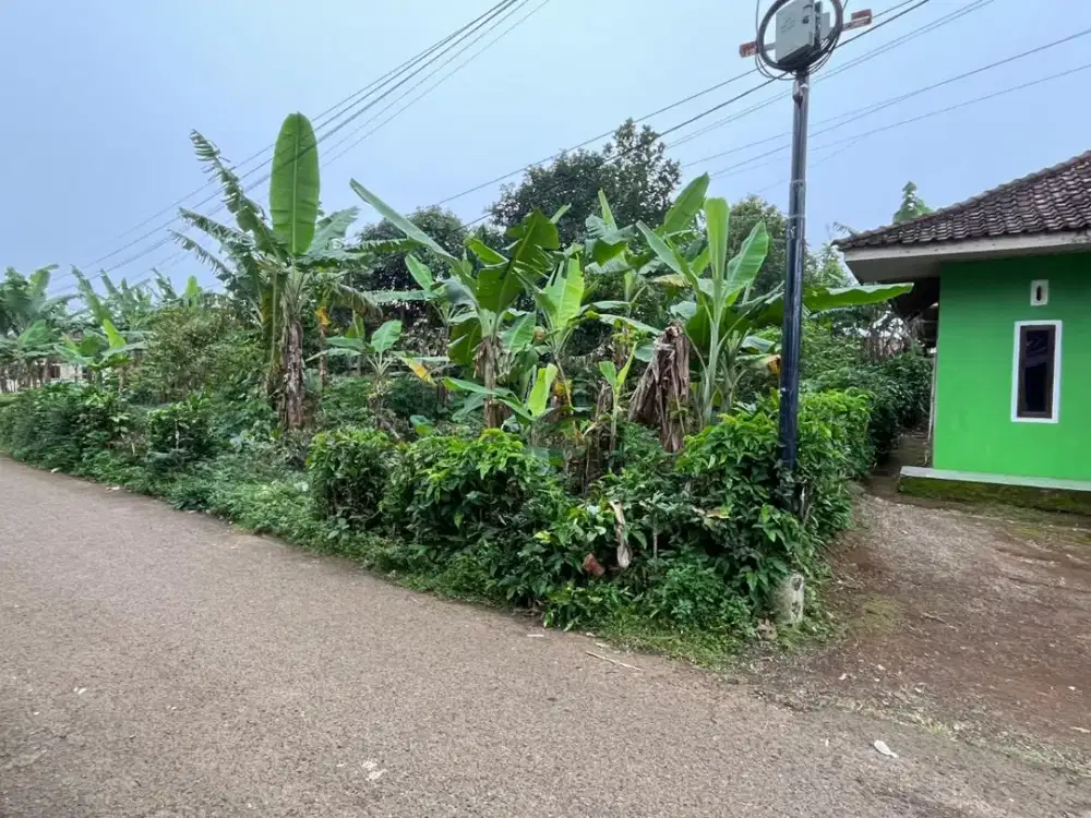 Dijual Murah Tanah Kebun Produkti Pinggir Jalan di Bojong Purwakarta