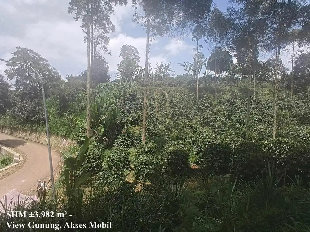 DIJUAL TANAH SHM 3.982 m² PANGALENGAN – AKSES MOBIL, VIEW GUNUNG