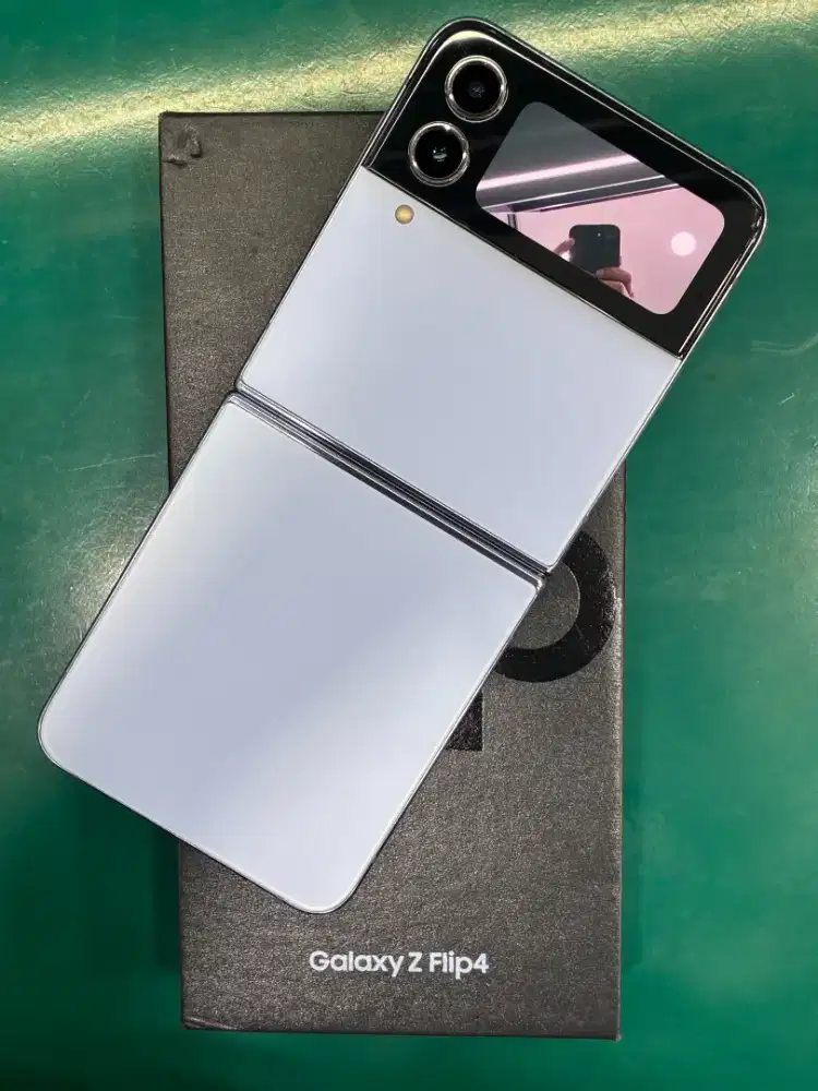 Samsung zfilp 4 ram 512