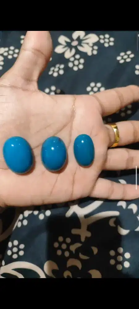 BACAN JUMBO BORONGAN MURAH AJA BUKAN IJO GARUT,KALIMAYA ATAU PERMATA