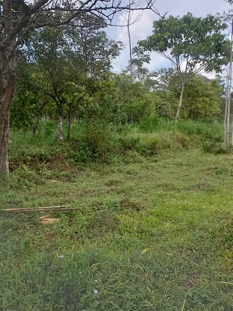 Tanah srategis di getasan kopeng