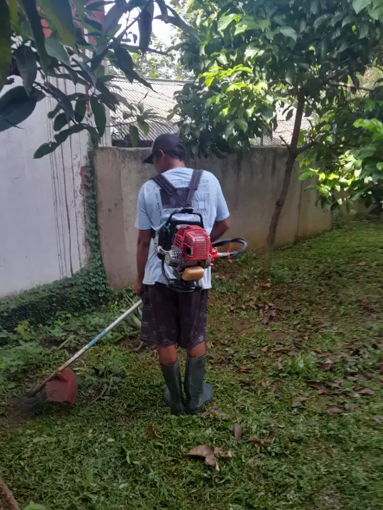 Jasa potong rumput