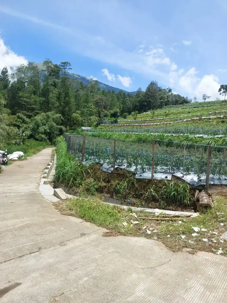 Jual tanah getasan kopeng