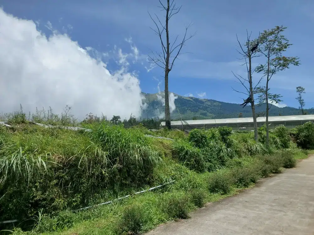 Jual Tanah kebun kopeng getasan