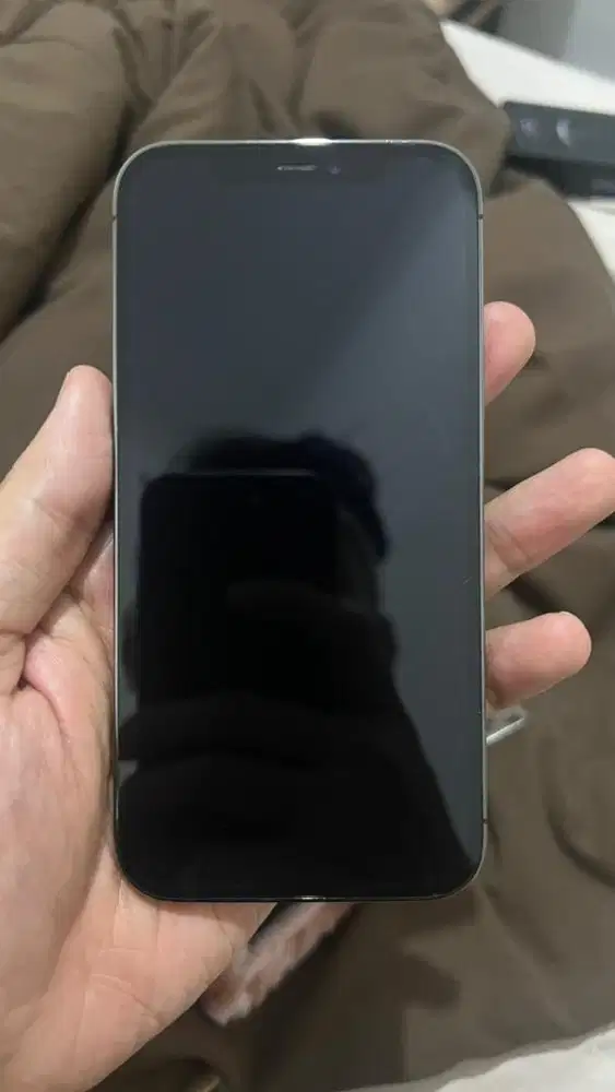 Iphone 12 pro 256 gb inter