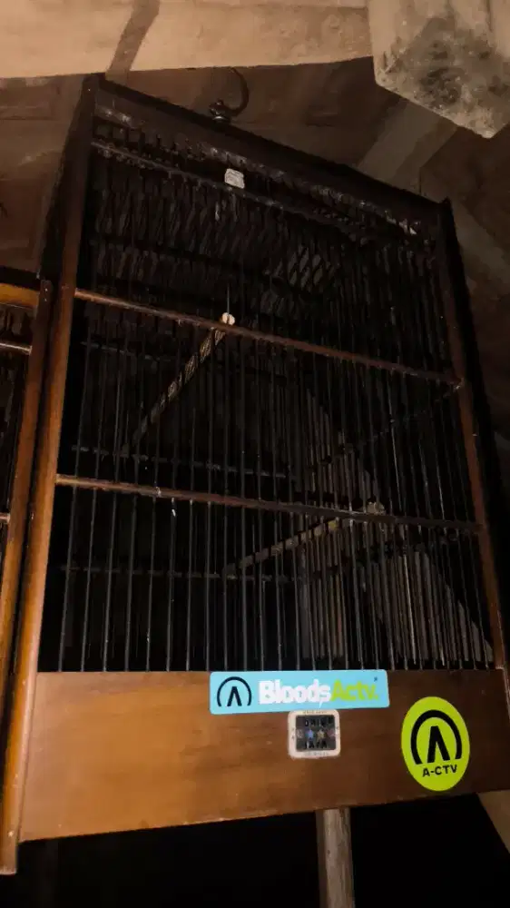 Sangkar kotak oriq jaya