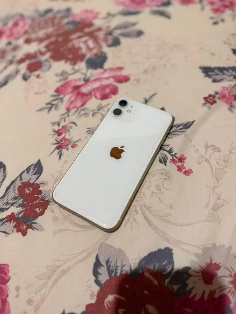 iPhone 11 (ibox)