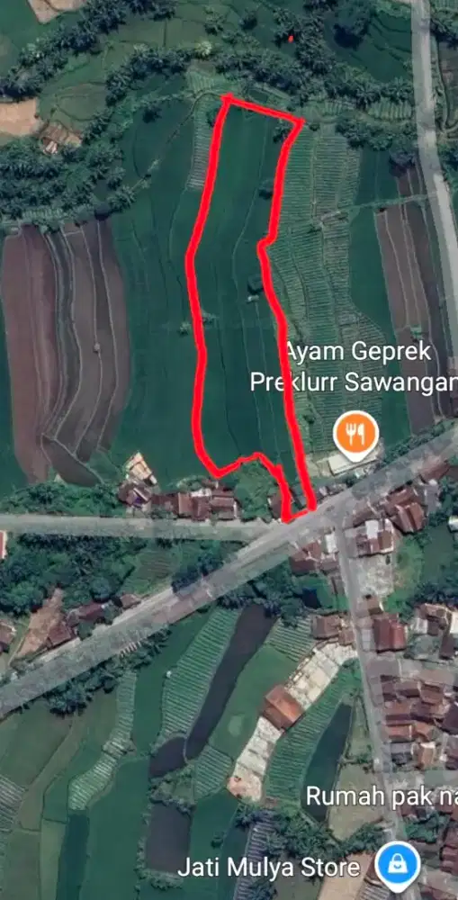 Jual Sawah Pertanian Mangunsari Sawangan Magelang