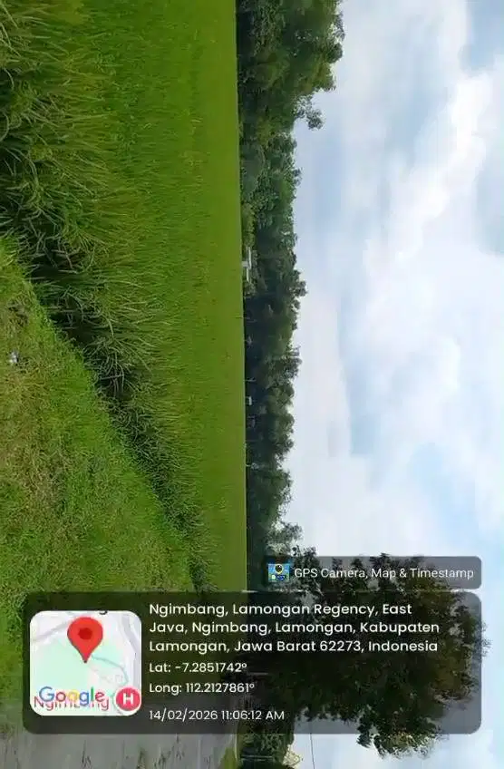 Tanah Strategis Dijual Desa Sendangrejo Kecamatan Ngimbang, Lamongan