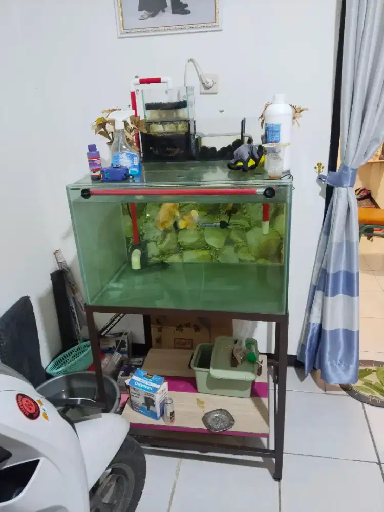 Aquarium + talang kaca + rak + mesin + heater