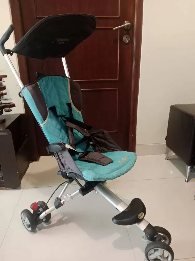 Stroller kondisi istimewa