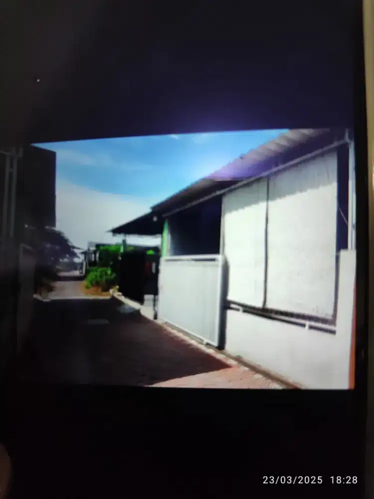 KAYEN KEDUNGKENDO SIAP HUNI