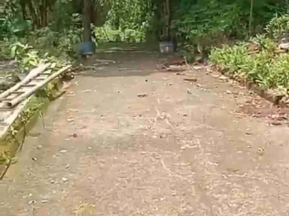 Tanah Sinduharjo Ngaglik