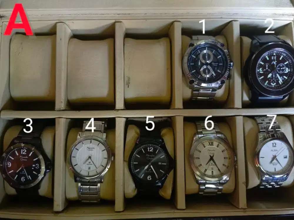 Jam Tangan Alexandre Christie Seiko