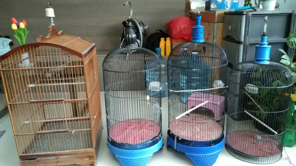 Dijual borongan,kandang burung